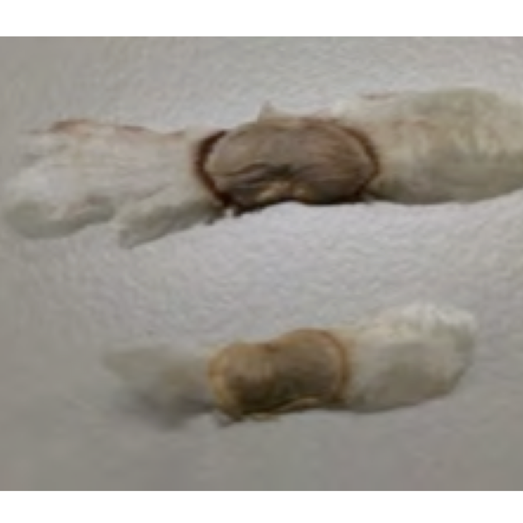 Paper thumbnail